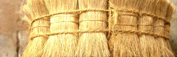 sri lanka coco peat, cocos plus cutfibre